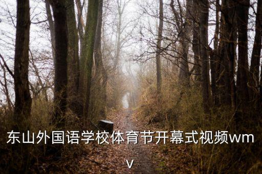 東山外國語學校體育節開幕式視頻wmv