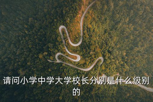 廣州公辦小學校長級別，請問小學中學大學校長分別是什么級別的