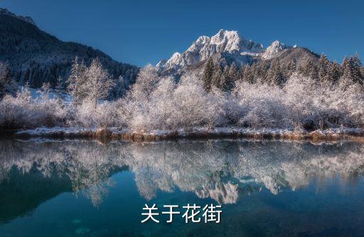 廣州嘉年華花街攻略，春節廣州哪里逛花街最好