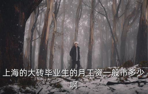 上海的大磚畢業(yè)生的月工資一般市多少啊