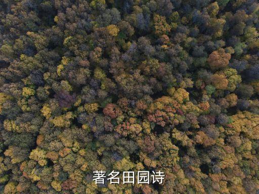 田園詩歌，田園詩歌