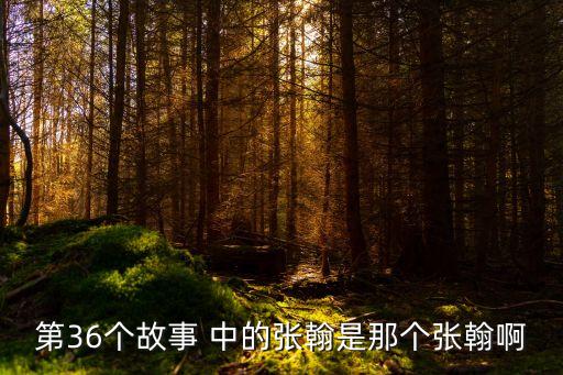 流浪神狗人，哪部電視劇里有張翰的演出