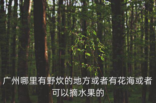 廣州帽峰山吃飯和游泳的農莊，廣州哪里有野炊的地方或者有花?；蛘呖梢哉?/></a></span><span id=
