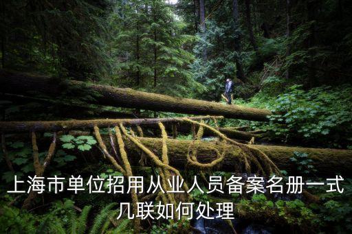 上海市單位招用從業人員備案名冊一式幾聯如何處理