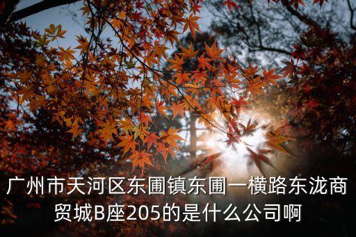 廣州尚藝匯貿(mào)易有限公司，廣州市天河區(qū)東圃鎮(zhèn)東圃一橫路東瀧商貿(mào)城B座205的是什么公司啊