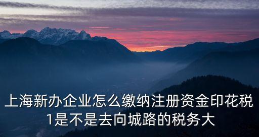 上海市印花稅申報實務(wù)，上海新辦企業(yè)怎么繳納注冊資金印花稅 1是不是去向城路的稅務(wù)大