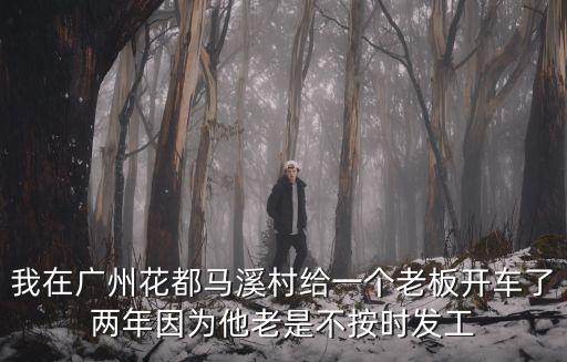 我在廣州花都馬溪村給一個老板開車了兩年因為他老是不按時發工