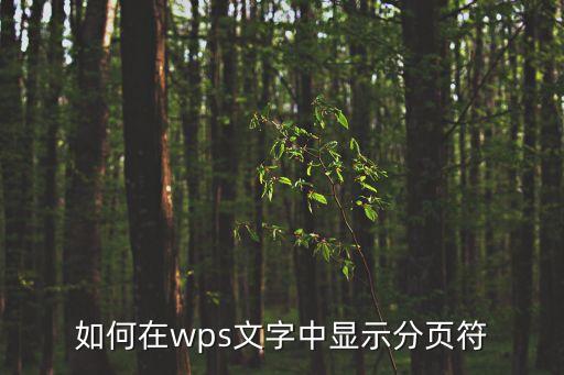 分頁(yè)符怎么設(shè)置，excel匯總處如何插入分頁(yè)符