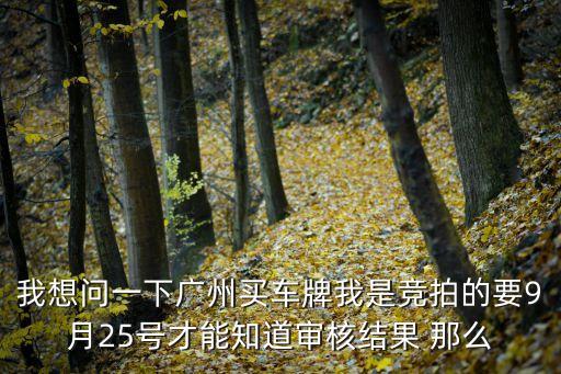 我想問一下廣州買車牌我是競拍的要9月25號才能知道審核結(jié)果 那么