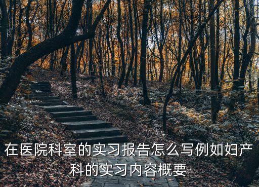 在醫院科室的實習報告怎么寫例如婦產科的實習內容概要