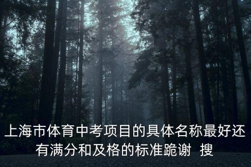 上海市體育中考項目的具體名稱最好還有滿分和及格的標準跪謝  搜
