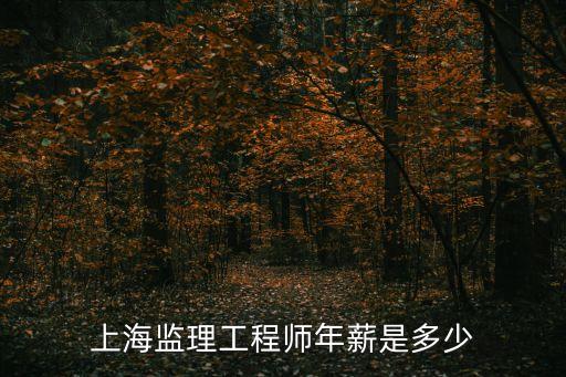 上海監(jiān)理工程師年薪是多少