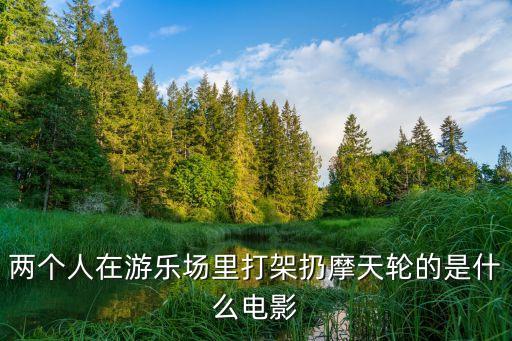 兩個人在游樂場里打架扔摩天輪的是什么電影