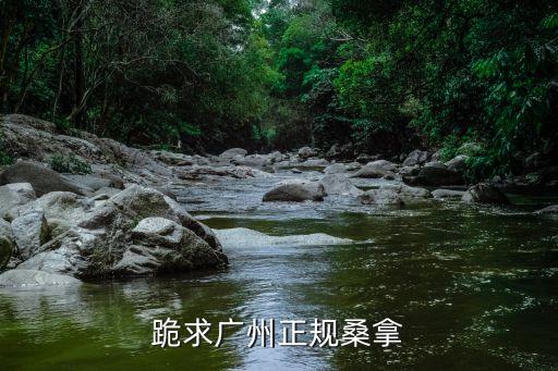 跪求廣州正規(guī)桑拿