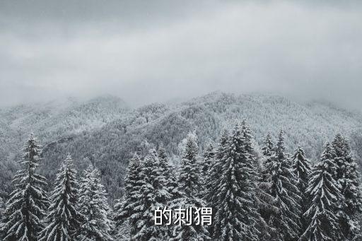 刺猬簡筆畫，請求動物刺猬的圖片