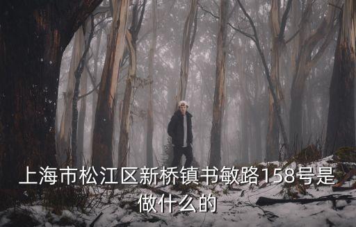 上海市慶陽商會，上海市長寧區定西路988號22層C座有個上海中網通訊科技發展有限