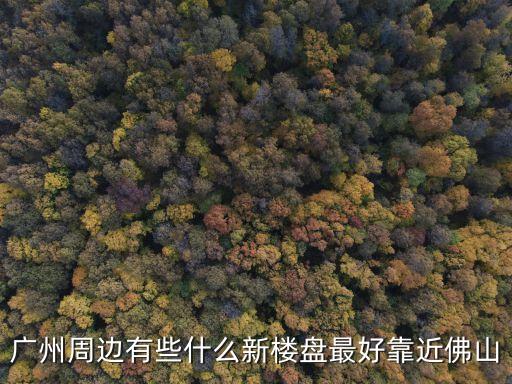 廣州應元大廈附近樓盤，廣州周邊有些什么新樓盤最好靠近佛山