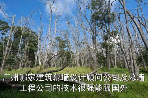 廣州哪家建筑幕墻設計顧問公司及幕墻工程公司的技術很強能跟國外