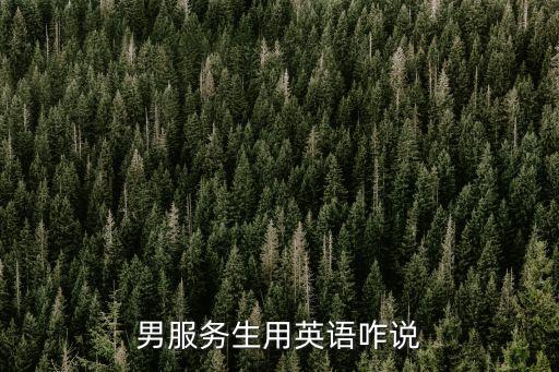 男服務員英語，服務生和服務員 英文怎么寫