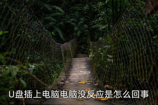 U盤插上電腦電腦沒反應是怎么回事