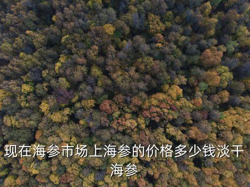 上海市面上海參價，市面上海參怎么賣