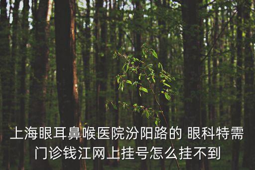 上海眼耳鼻喉醫(yī)院汾陽(yáng)路的 眼科特需門診錢江網(wǎng)上掛號(hào)怎么掛不到