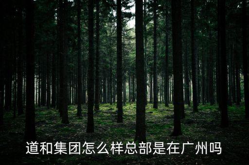 道和集團怎么樣總部是在廣州嗎