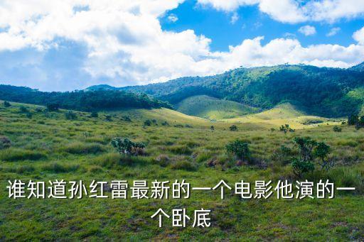 廣州紋身工匠，誰知道孫紅雷最新的一個電影他演的一個臥底