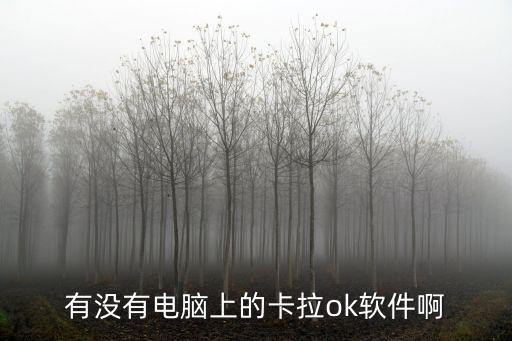 k歌軟件電腦版，有沒有電腦上的卡拉ok軟件啊