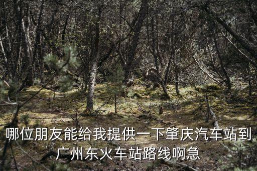 哪位朋友能給我提供一下肇慶汽車站到廣州東火車站路線啊急