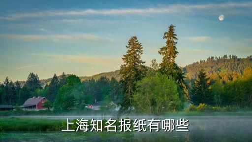 上海市全市發行的報紙，上海發行量最大的幾份報紙是哪幾家