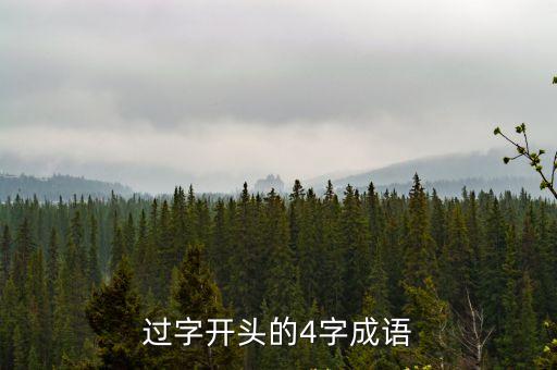 過字開頭的4字成語