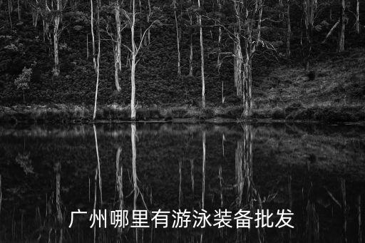 廣州哪里可以買到游泳裝備，廣州大南路有沒有游泳裝備批發市場