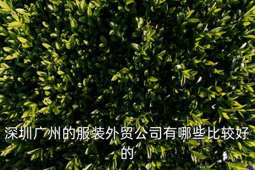 深圳廣州的服裝外貿(mào)公司有哪些比較好的
