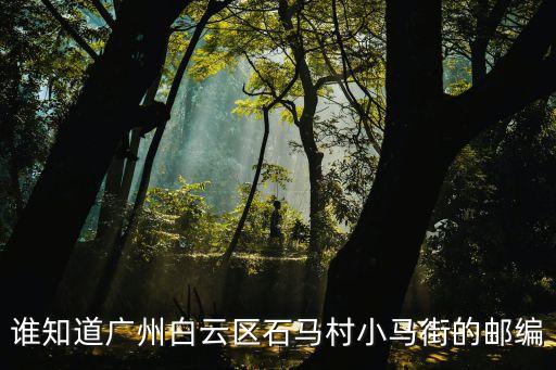 誰知道廣州白云區石馬村小馬街的郵編
