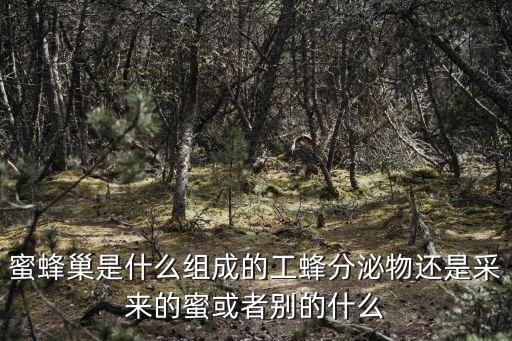 蜜蜂巢是什么組成的工蜂分泌物還是采來(lái)的蜜或者別的什么