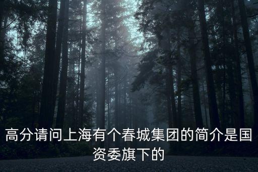 高分請問上海有個春城集團的簡介是國資委旗下的
