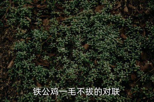 鐵公雞一毛不拔的對聯