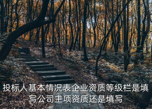 投標(biāo)人基本情況表企業(yè)資質(zhì)等級欄是填寫公司主項資質(zhì)還是填寫