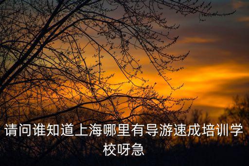請問誰知道上海哪里有導游速成培訓學校呀急