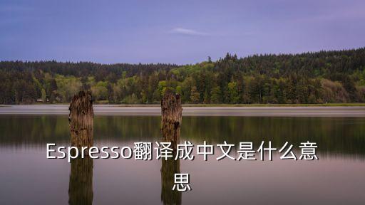 Espresso翻譯成中文是什么意思