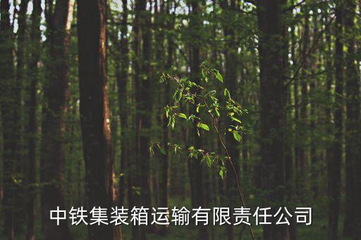 廣州中鐵聯合國際集裝箱有限公司，關于廣州集裝箱碼頭公司怎么樣