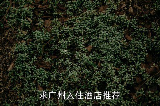 廣州光輝大廈住哪里好，去廣州住哪個酒店又好又便宜要市中心的