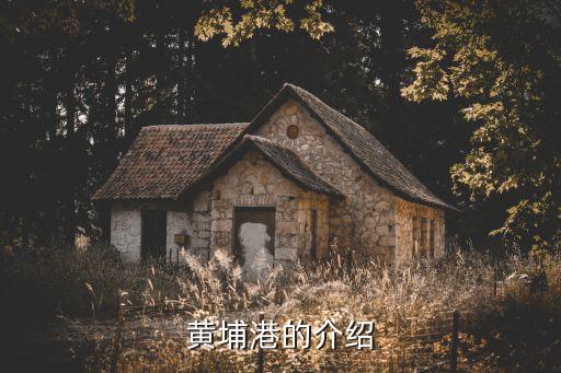 黃埔港的介紹