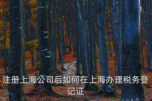 注冊上海公司后如何在上海辦理稅務(wù)登記證