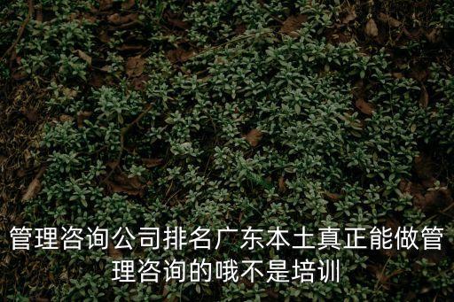 管理咨詢公司排名廣東本土真正能做管理咨詢的哦不是培訓