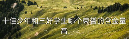 上海市十佳少年，十佳少年和三好學生哪個榮譽的含金量高