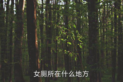 廣州女廁所位置圖，女廁所在什么地方