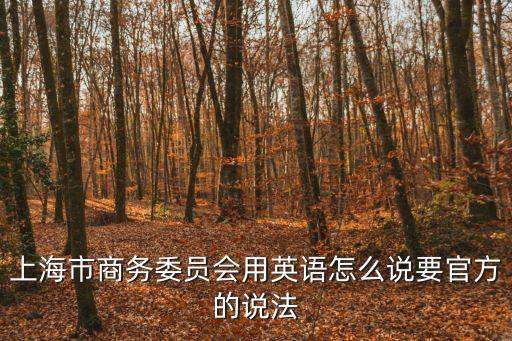 上海市經信委的英文翻譯，經信委 翻譯怎么翻 快快快