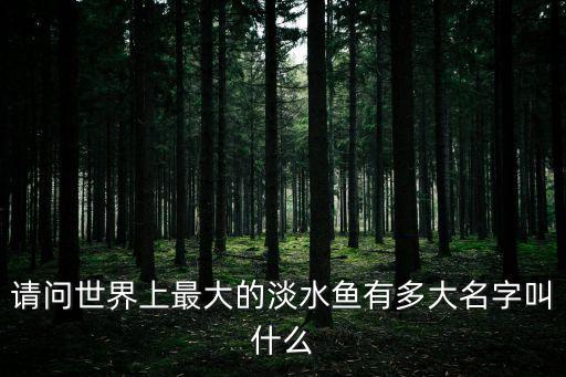 請問世界上最大的淡水魚有多大名字叫什么